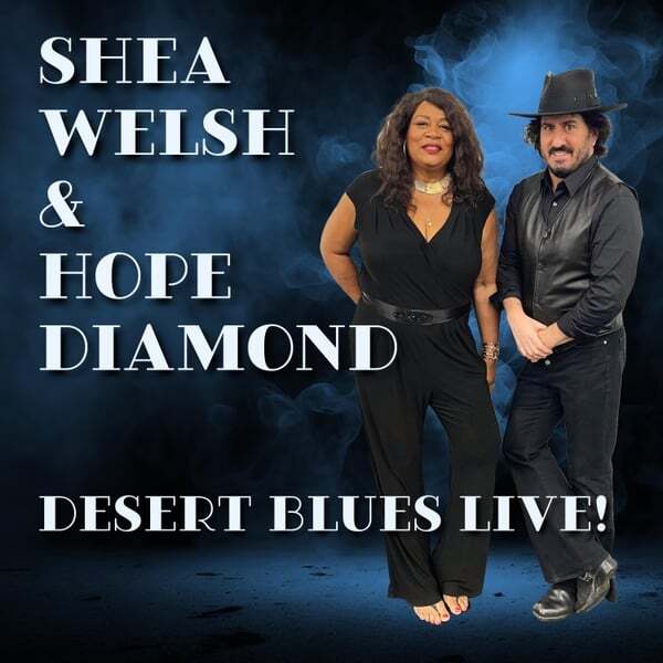 Cover art for Desert Blues Live!